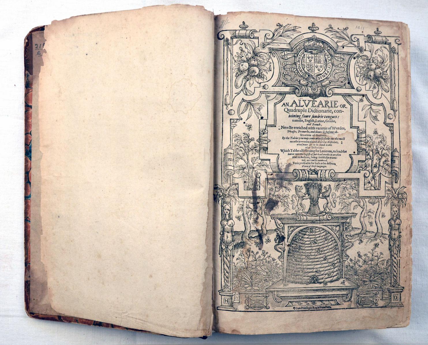 This is a test blog to test preview