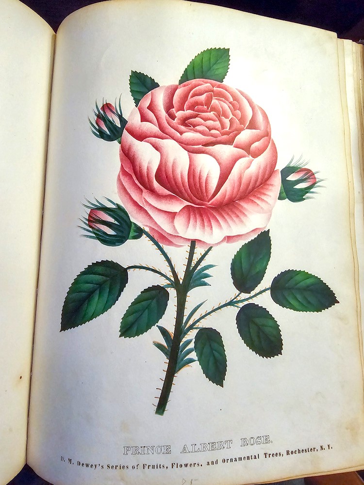 SPRING: POETRY & FLOWERS