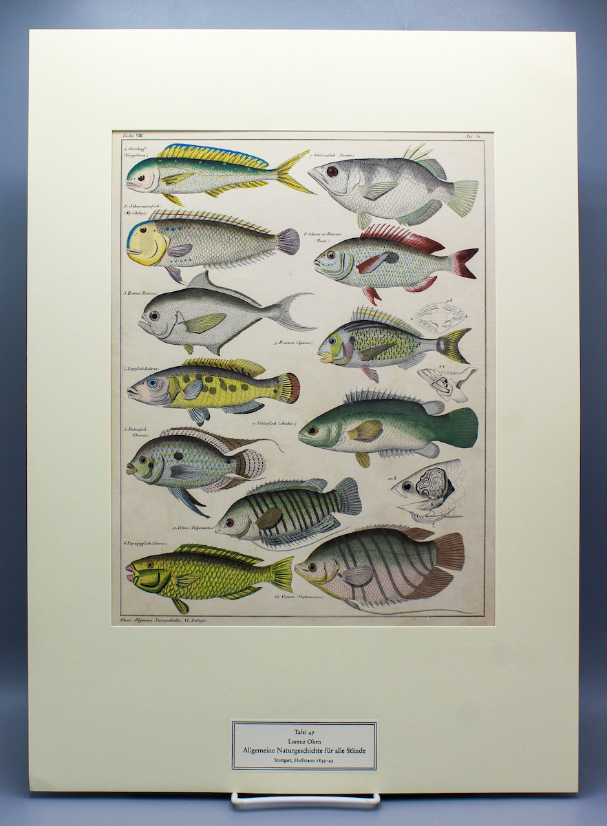 Late Summer Miscellany: Education, Early Printed Books, Women’s Studies, Science, and More