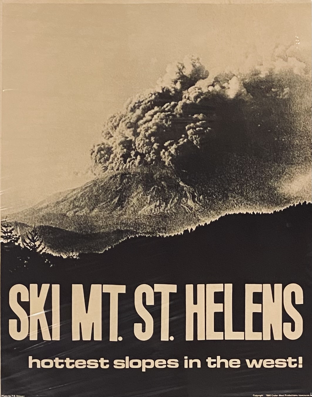 List 114: New Arrivals