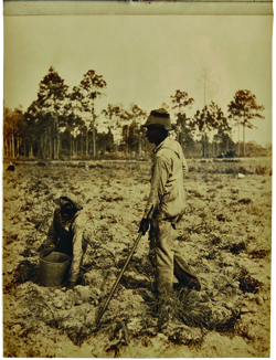 Americana e-list: The Sweat of One's Brow