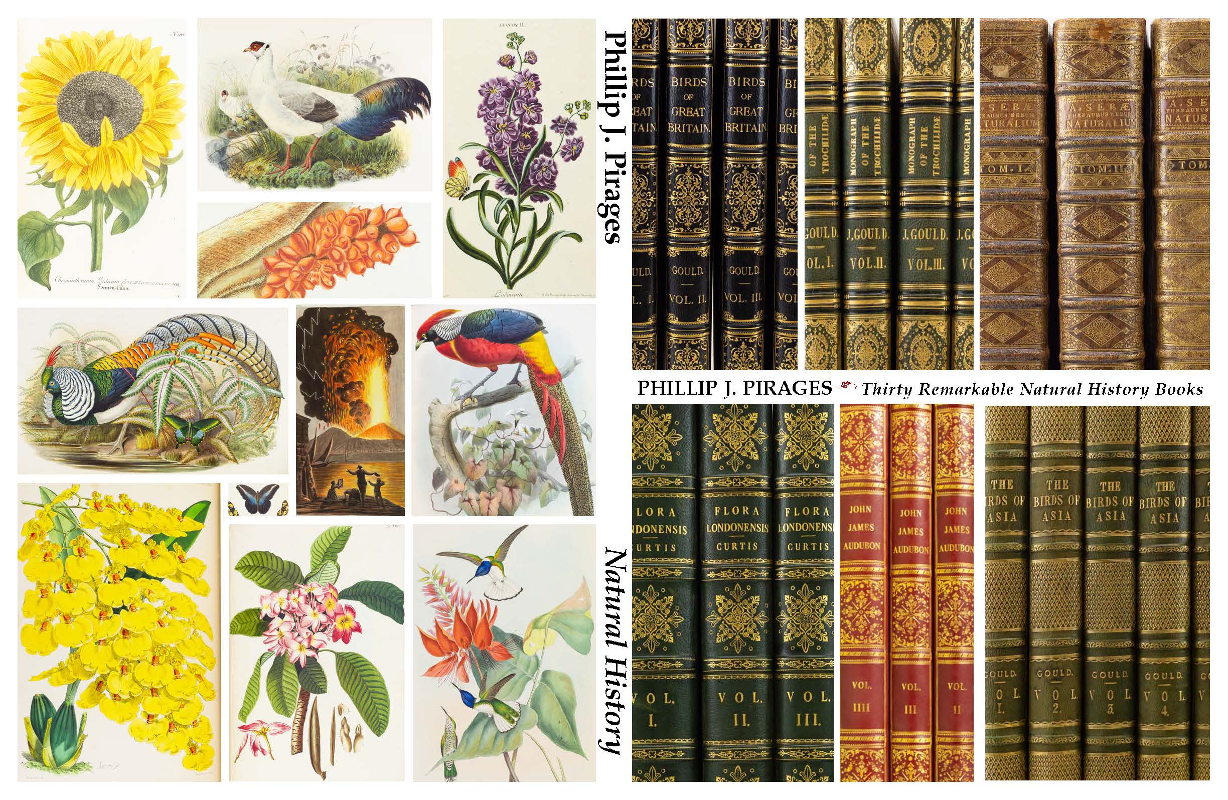 Natural History