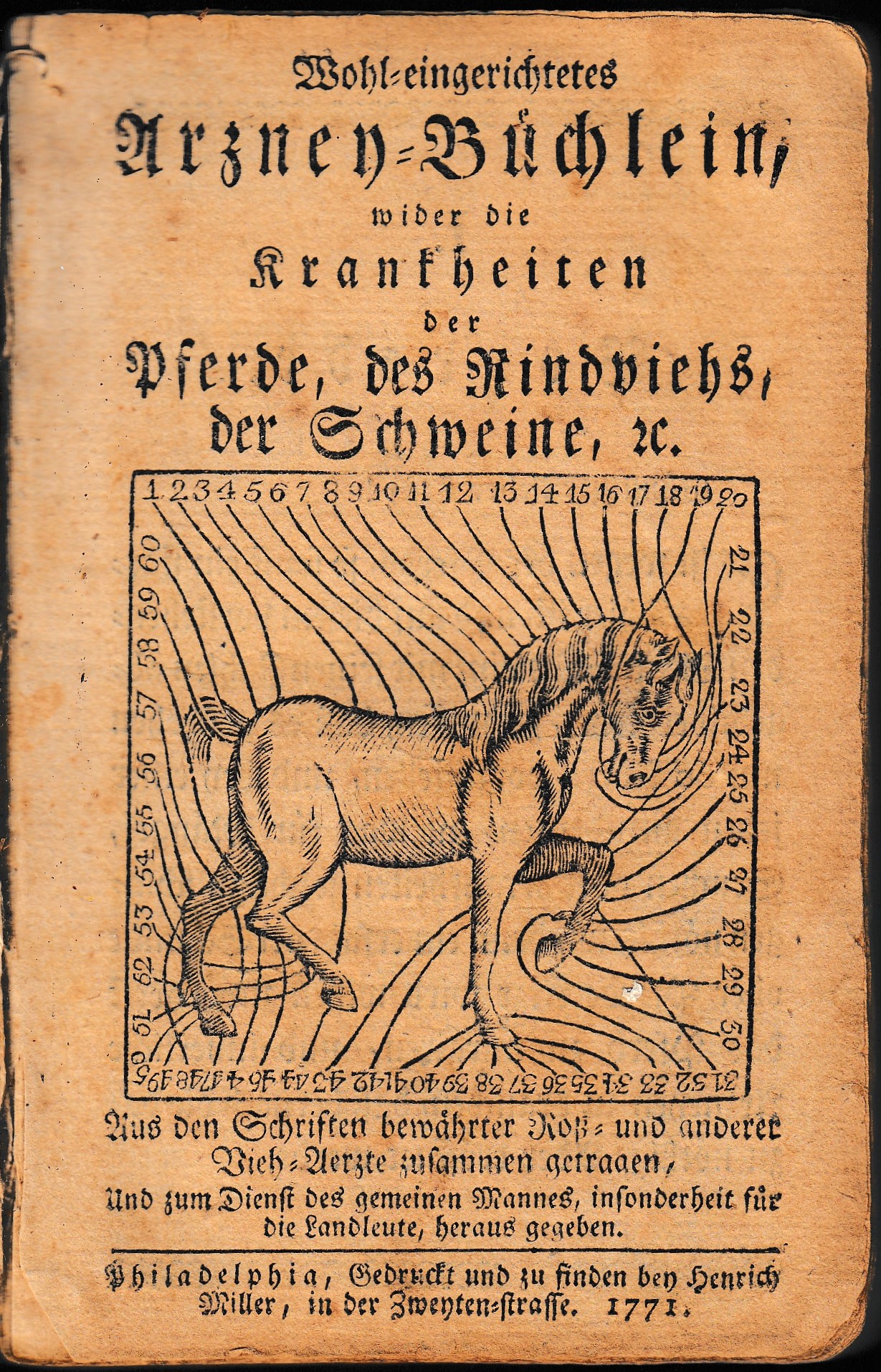 The Horse
