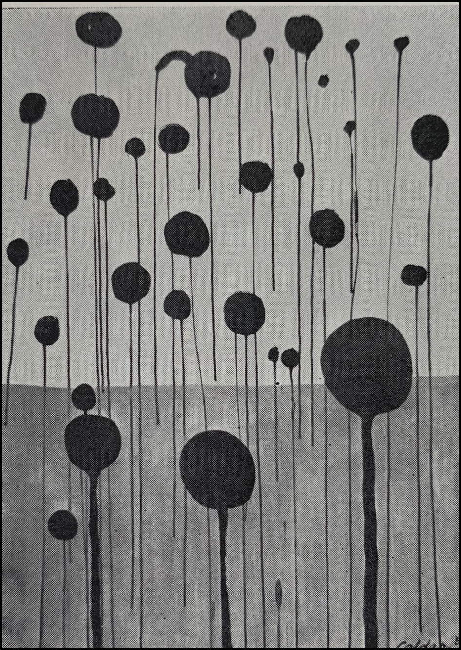 A Short Catalogue of Art Books