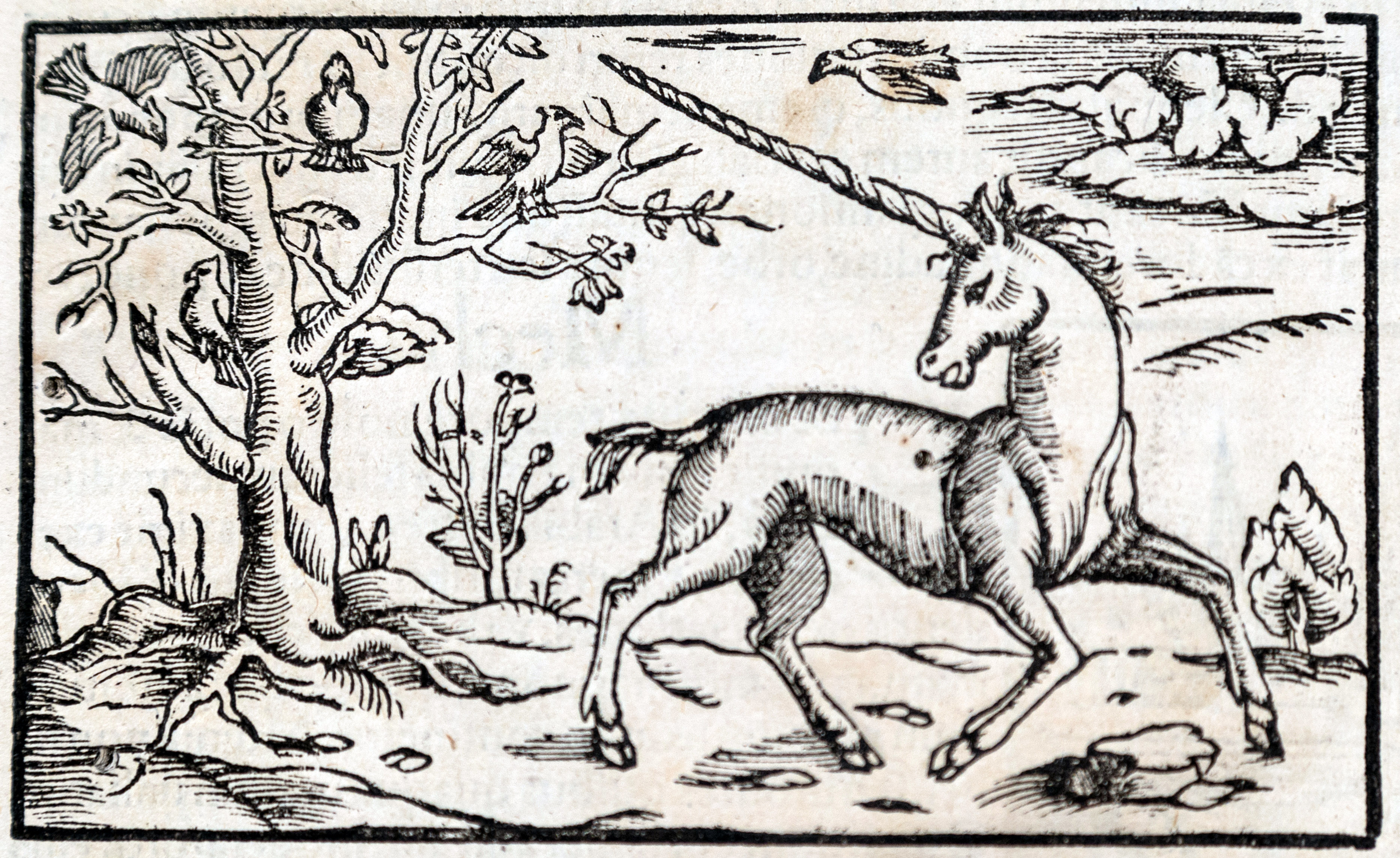 Firsts London Virtual Book Fair