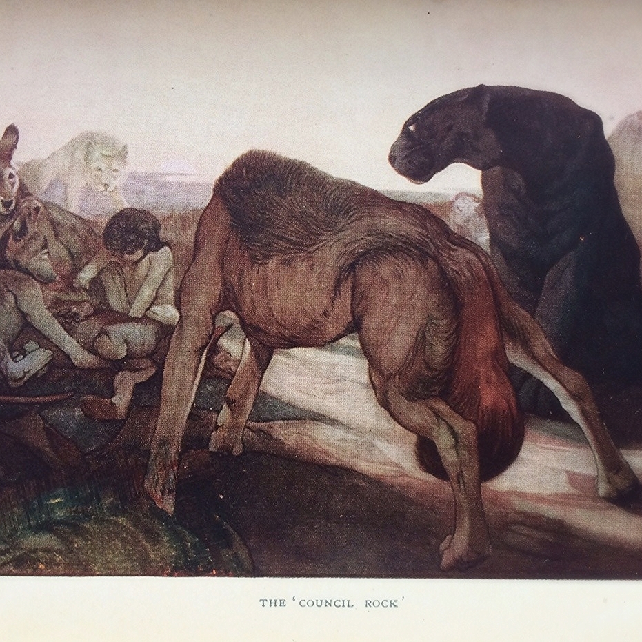 Travel in Dreams and Waking: Childlike Wonder or Laboring Hands