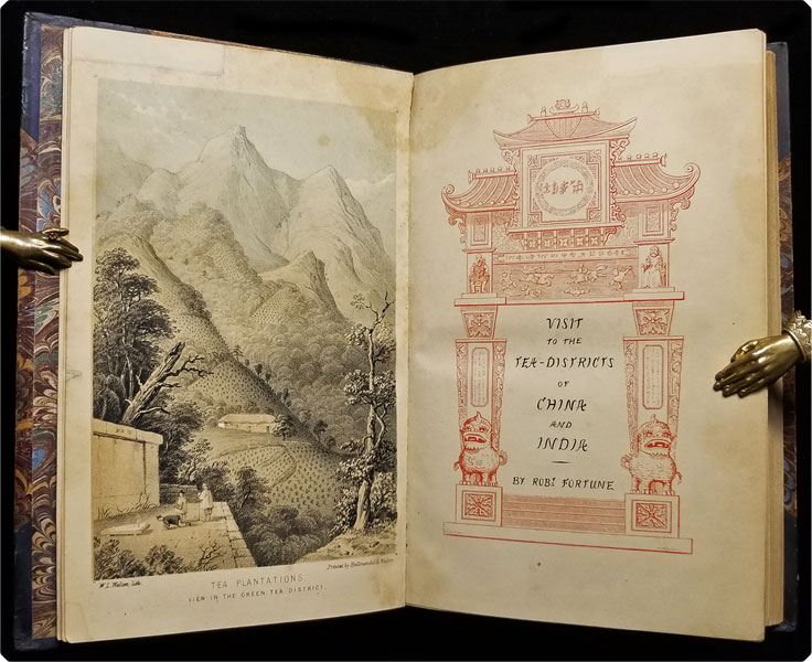 Voyages ~ Travels ~ Explorations ~ PLACES