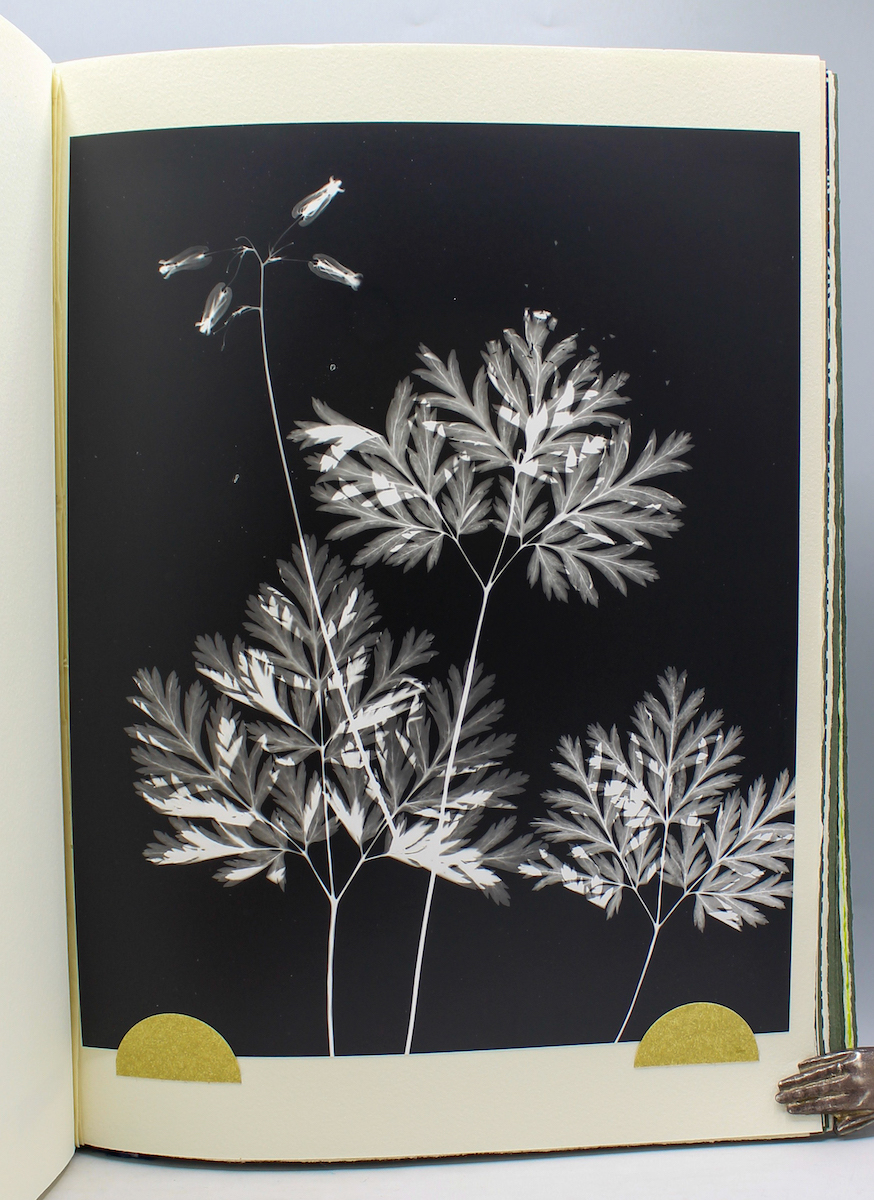 Fine Printing and Artist's Books
