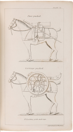 Americana e-list: New Acquisitions, August 2021