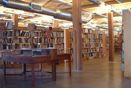 Store Photo