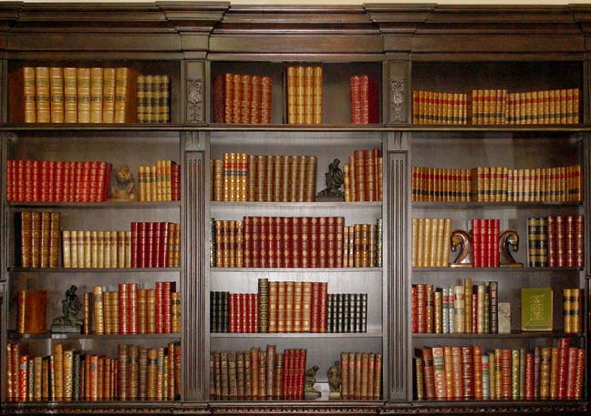 Store Photo