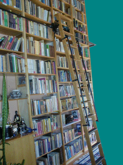 Store Photo