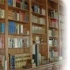 Store Photo