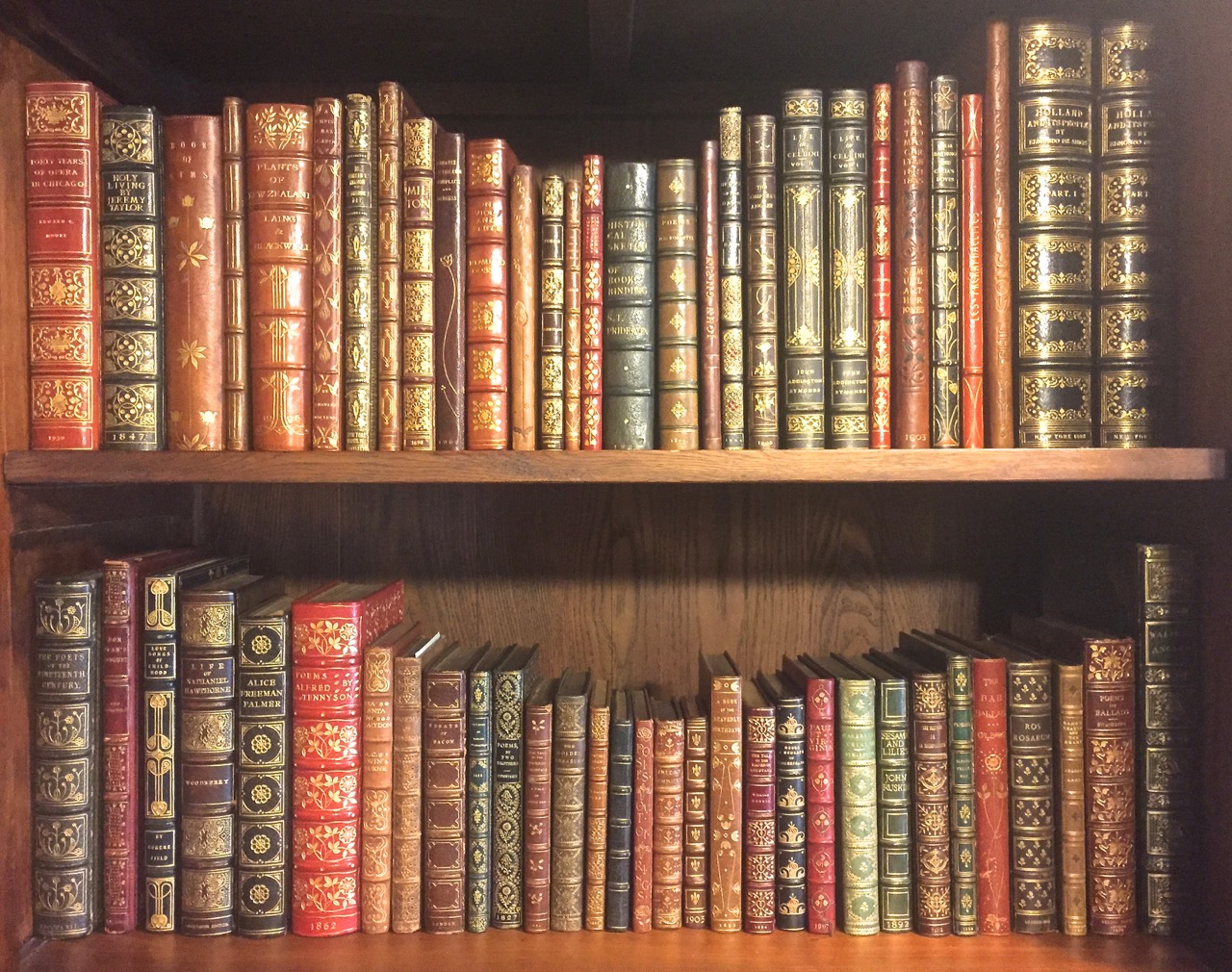 Nudelman Rare Books Logo
