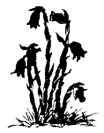Second Life Books, Inc. Logo