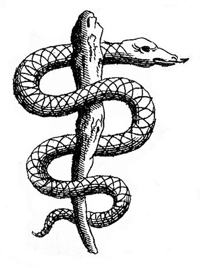 BioMed Rare Books, LLC Logo