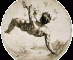 Michael Laird Rare Books LLC Logo